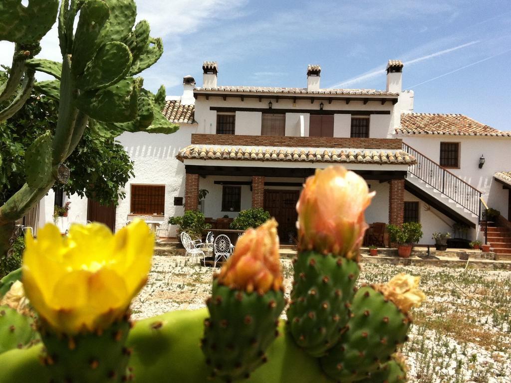 Belvilla By Oyo Cortijo Monjas Periana